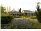 613 Cargo Road, Orange NSW 2800