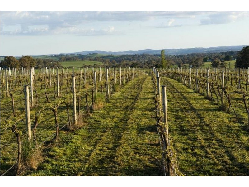 613 Cargo Road, Orange NSW 2800