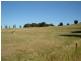 331 Newbridge Road, Blayney NSW 2799