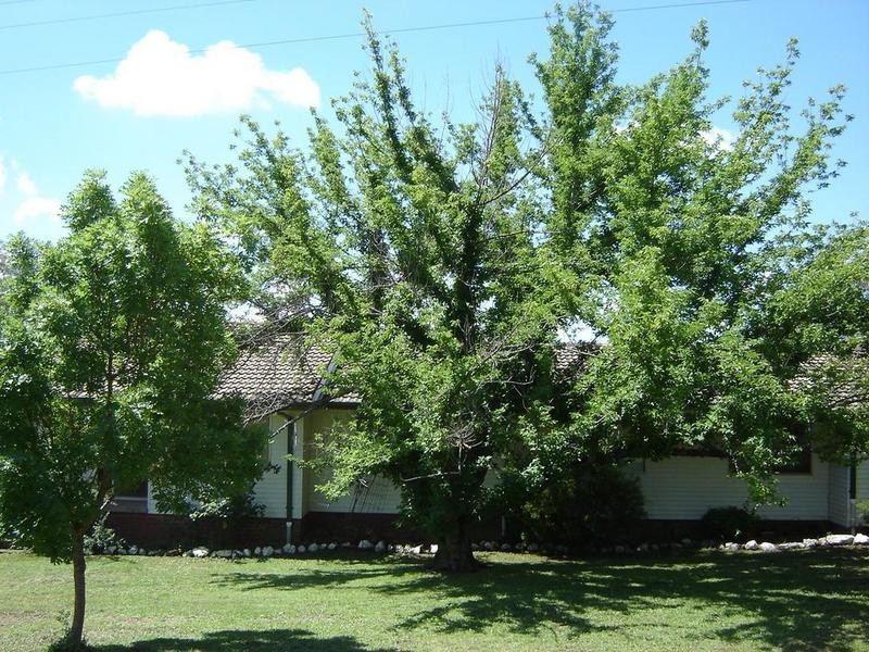 27 Lee Street, Molong NSW 2866