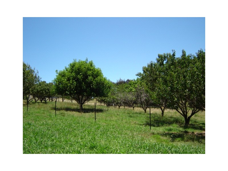 201 Errowanbang Road, Carcoar NSW 2791