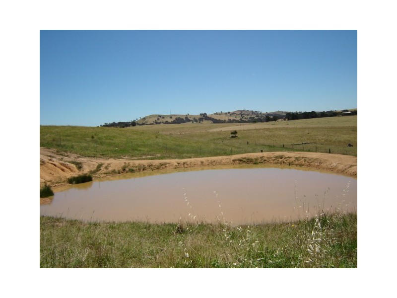 201 Errowanbang Road, Carcoar NSW 2791