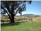 201 Errowanbang Road, Carcoar NSW 2791