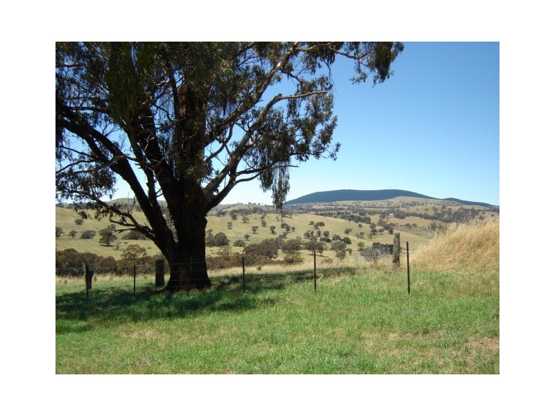 201 Errowanbang Road, Carcoar NSW 2791