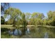 - Dairy Creek Road, Orange NSW 2800
