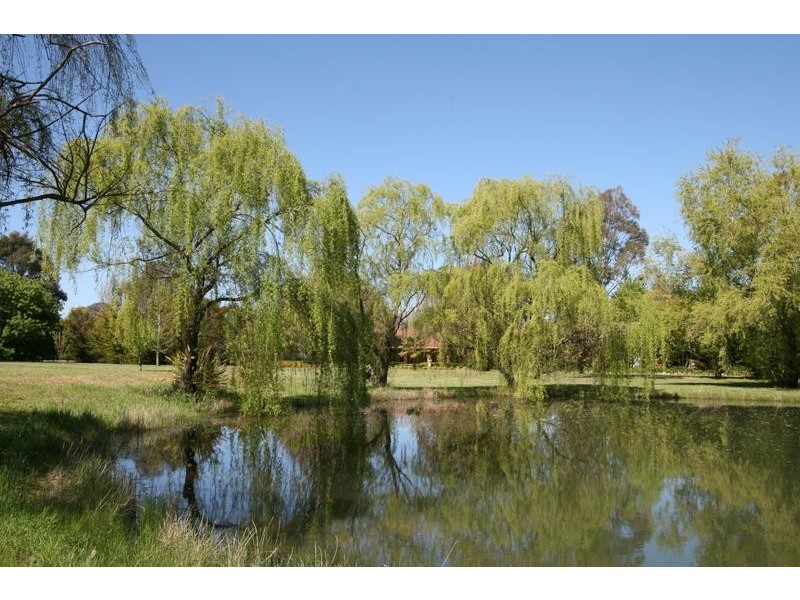 - Dairy Creek Road, Orange NSW 2800