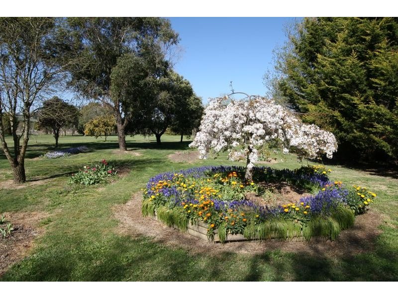 - Dairy Creek Road, Orange NSW 2800
