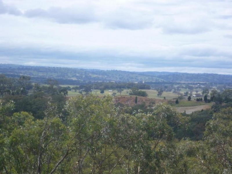 412 Packham Drive, Molong NSW 2866