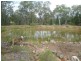 412 Packham Drive, Molong NSW 2866