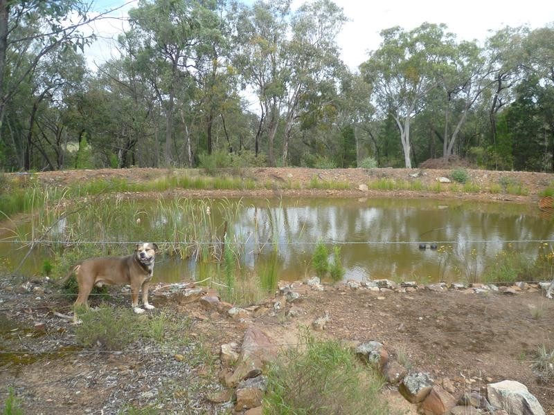 412 Packham Drive, Molong NSW 2866