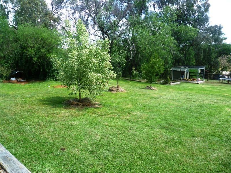 80 Park Street, Molong NSW 2866