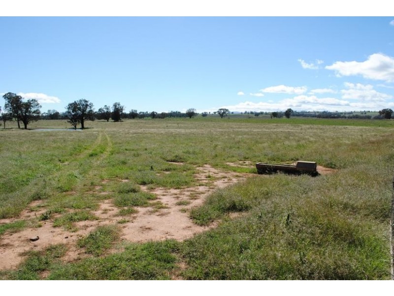 206 Avenel Road, Cargo NSW 2800