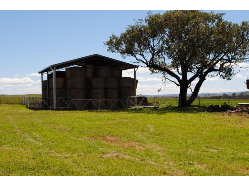 206 Avenel Road, Cargo NSW 2800