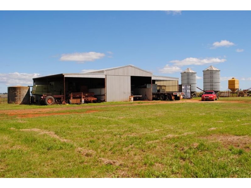 206 Avenel Road, Cargo NSW 2800