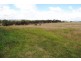 - Cargo Road, Cargo NSW 2800