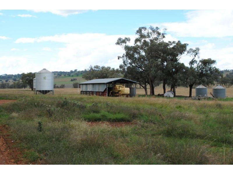 - Cargo Road, Cargo NSW 2800