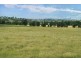 154 Peabody Road, Molong NSW 2866