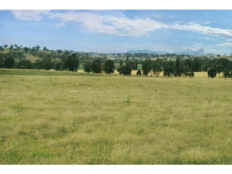 154 Peabody Road, Molong NSW 2866