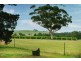 154 Peabody Road, Molong NSW 2866