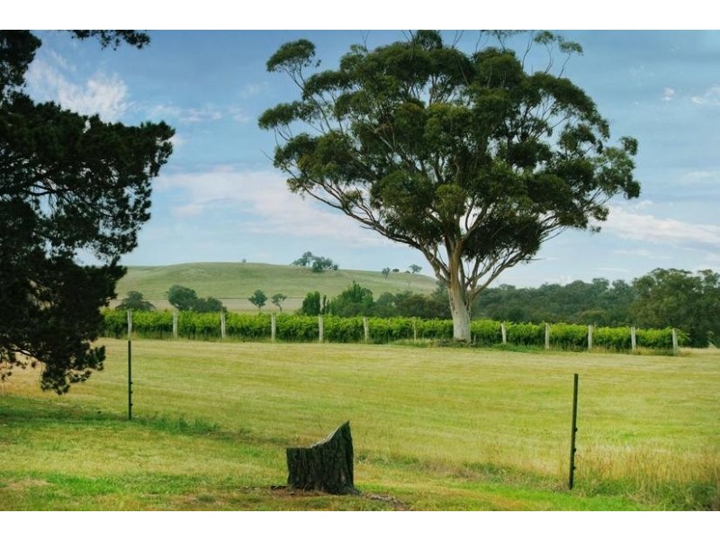 154 Peabody Road, Molong NSW 2866