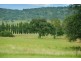 154 Peabody Road, Molong NSW 2866
