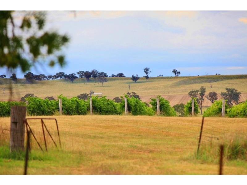 154 Peabody Road, Molong NSW 2866