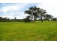 154 Peabody Road, Molong NSW 2866
