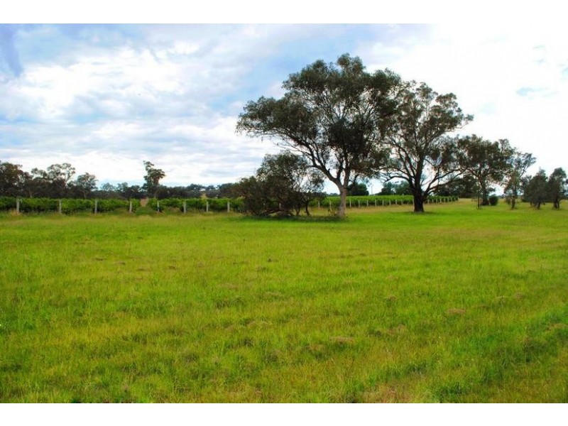 154 Peabody Road, Molong NSW 2866