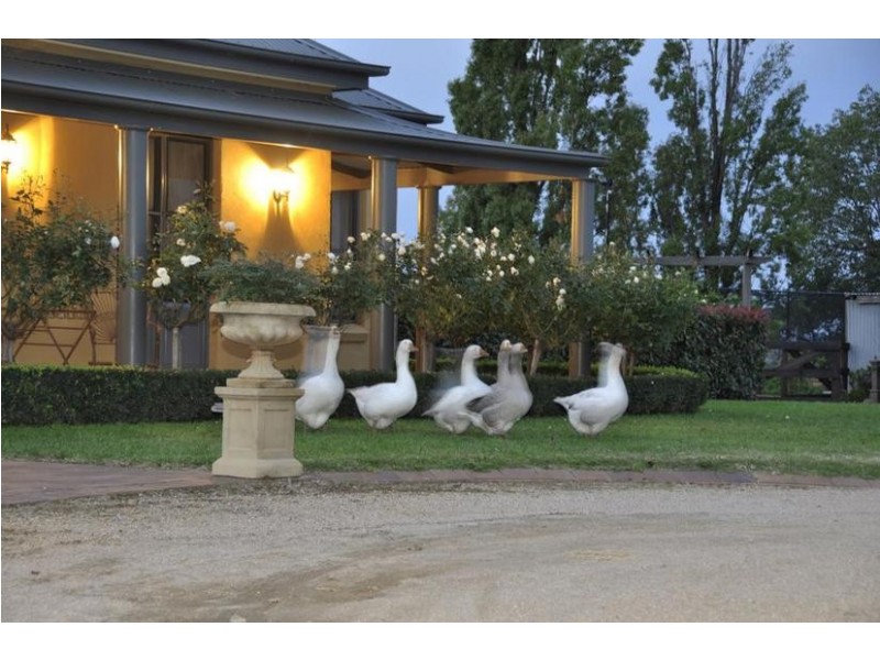 442 The Escort Way, Orange NSW 2800