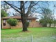 Molong NSW 2866