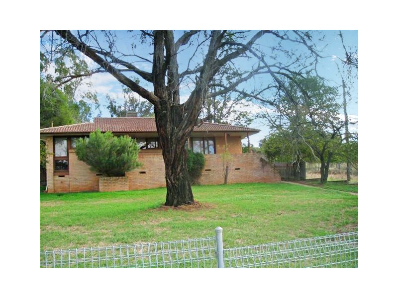 Molong NSW 2866