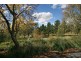 172 Griffin Road, Orange NSW 2800