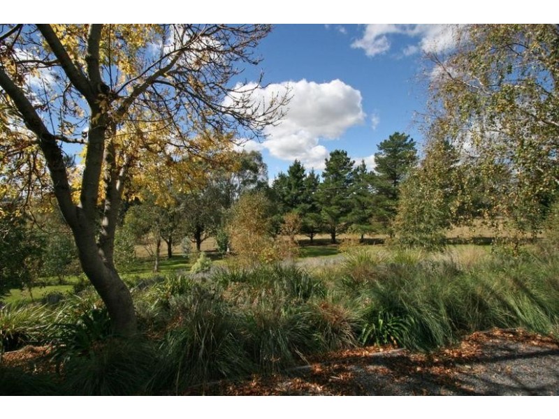 172 Griffin Road, Orange NSW 2800