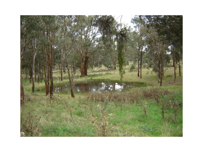 51 Gallymont Rd, Mandurama NSW 2792