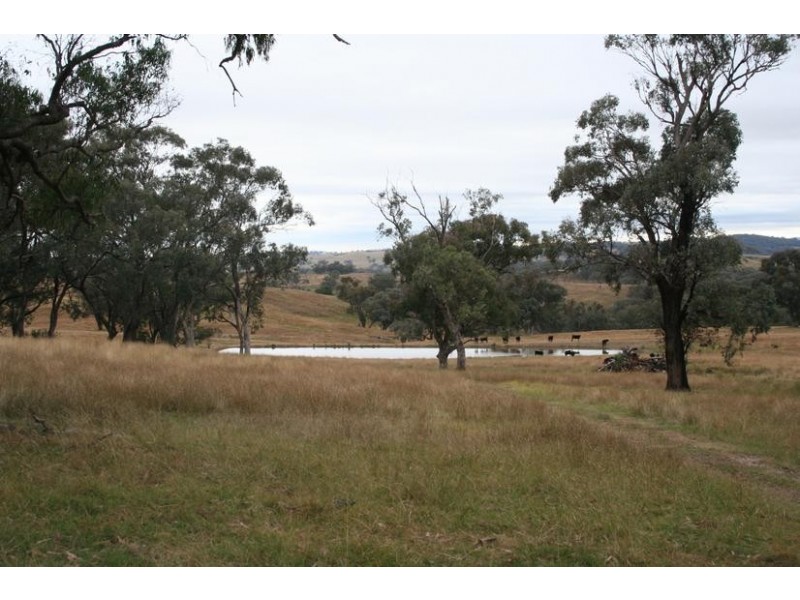 775 Boree Lane, Orange NSW 2800
