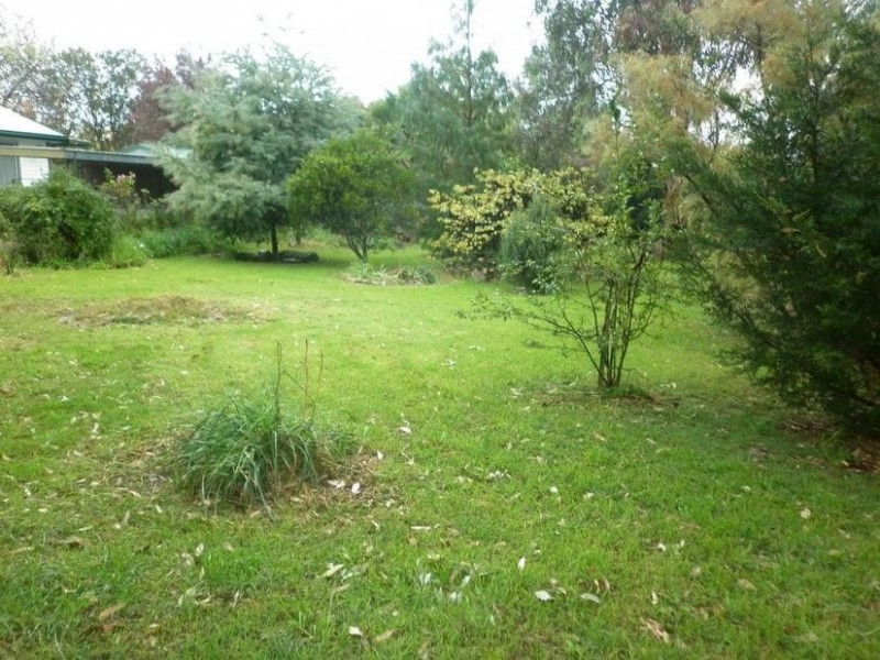 6 Bruce Street, Cumnock, Molong NSW 2866