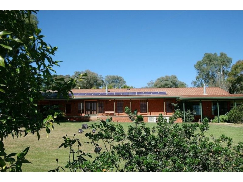 229 Convent Lane, Orange NSW 2800