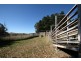 229 Convent Lane, Orange NSW 2800