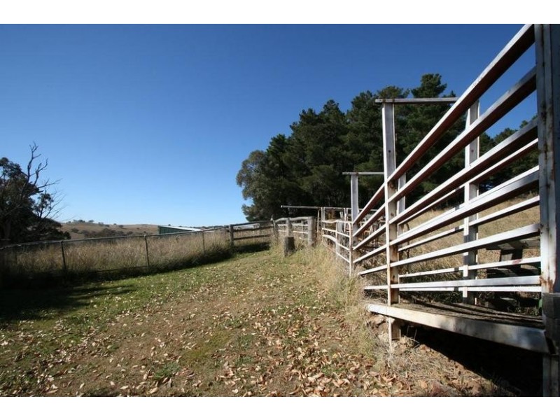 229 Convent Lane, Orange NSW 2800