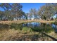 1955 Davys Plains Road, Cargo NSW 2800