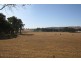 1955 Davys Plains Road, Cargo NSW 2800