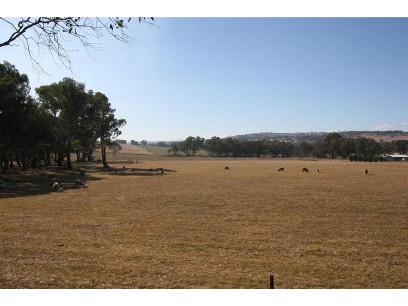 1955 Davys Plains Road, Cargo NSW 2800