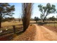 2983 Mitchell Hwy, Molong NSW 2866