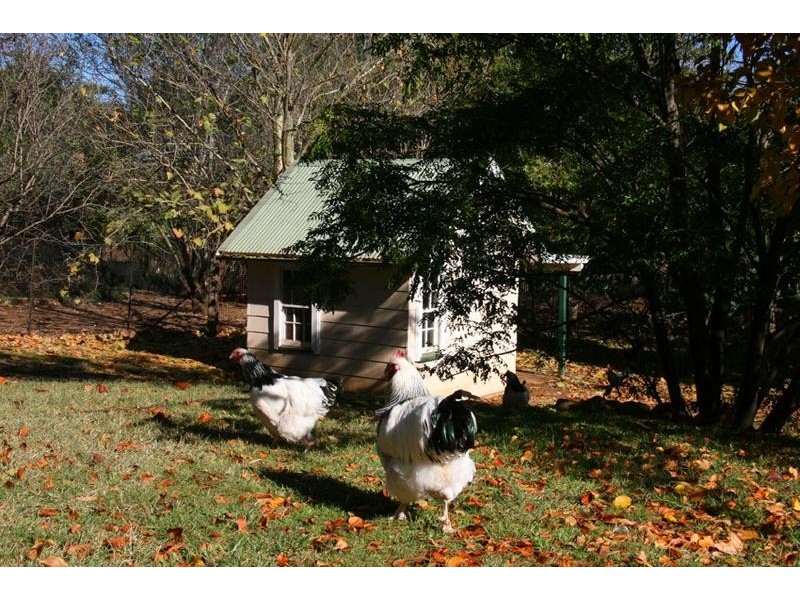 2983 Mitchell Hwy, Molong NSW 2866