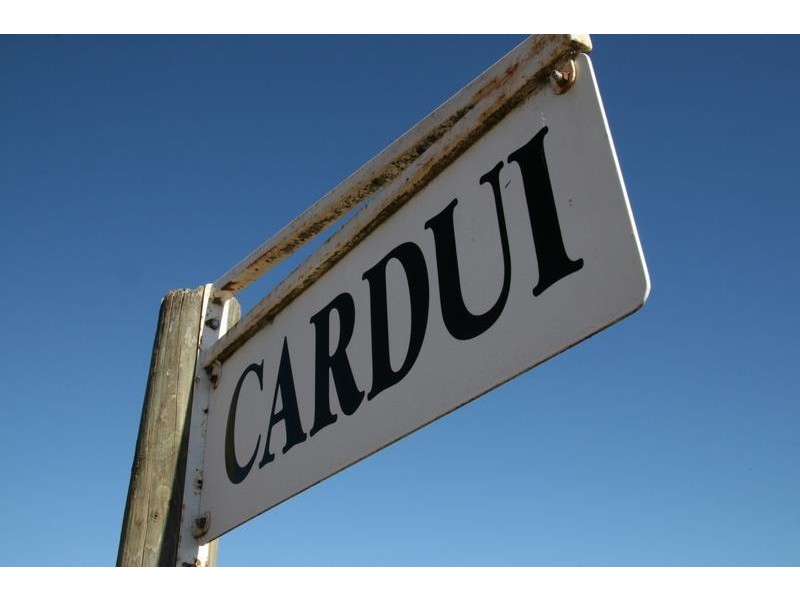 2983 Mitchell Hwy, Molong NSW 2866