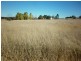 30 Market Street, Molong NSW 2866