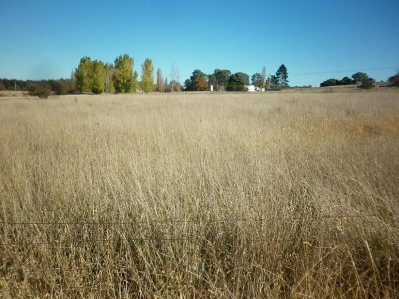 30 Market Street, Molong NSW 2866