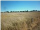 30 Market Street, Molong NSW 2866