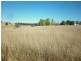 30 Market Street, Molong NSW 2866