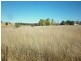30 Market Street, Molong NSW 2866